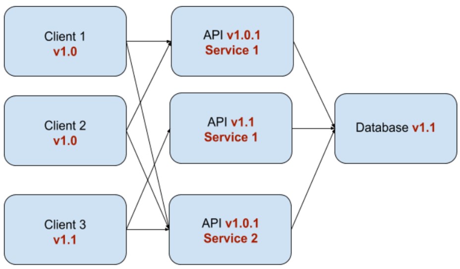 API Versioning